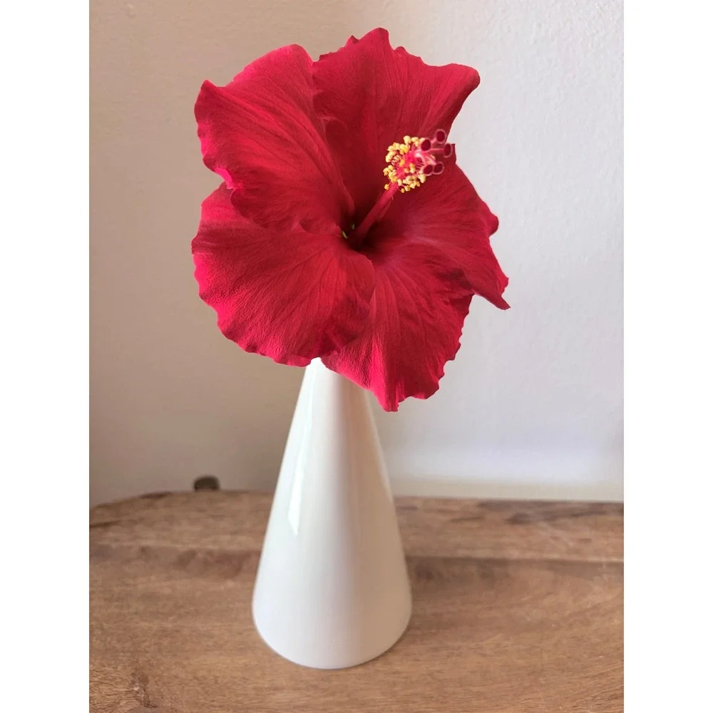 Lenox vintage porcelain